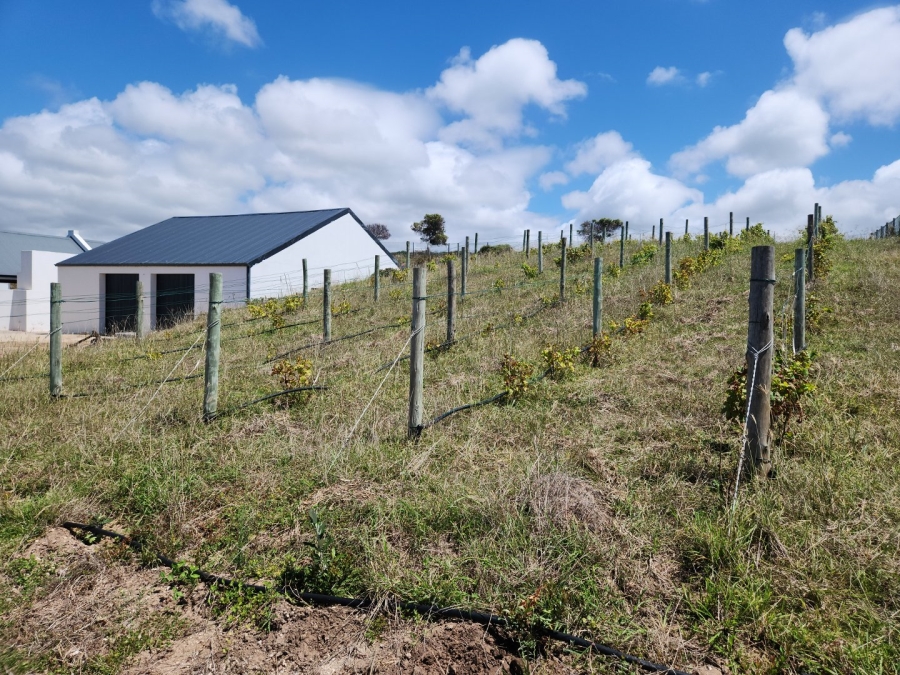 3 Bedroom Property for Sale in Gouritsmond Rural Western Cape